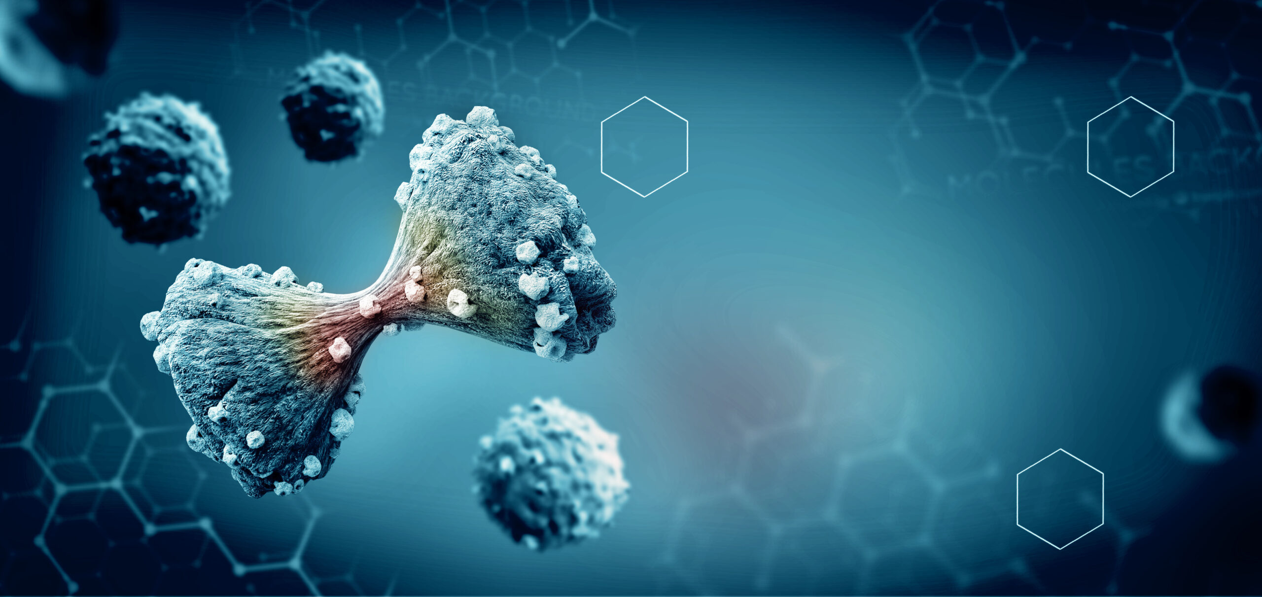 Prostate Cancer and Family History