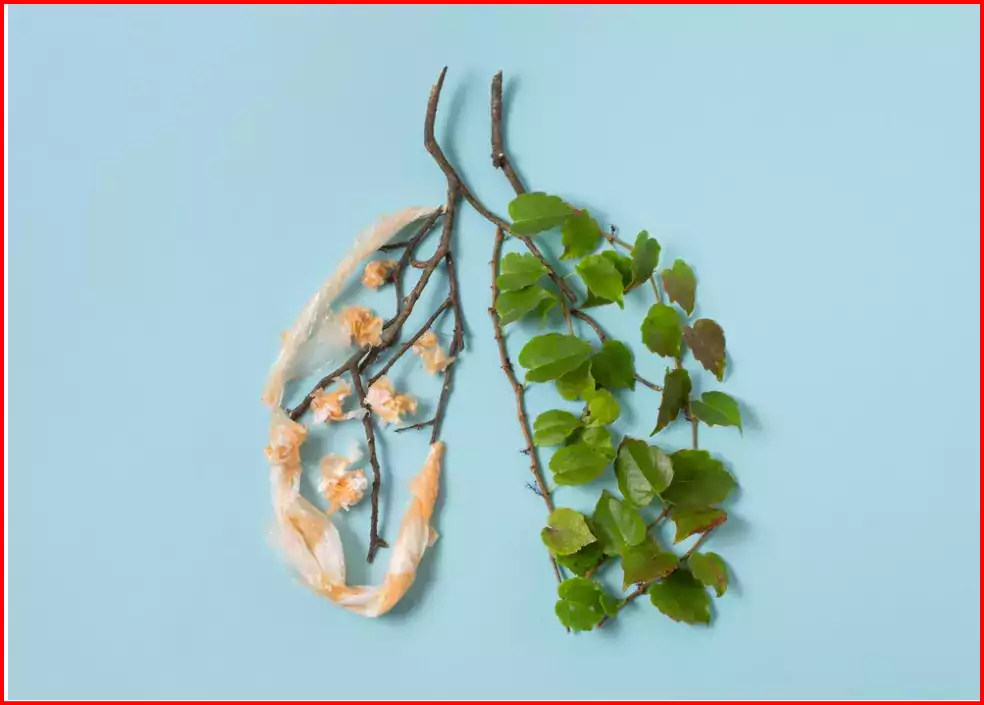 How Lifestyle Changes Reduce the Risk of Kidney Stones