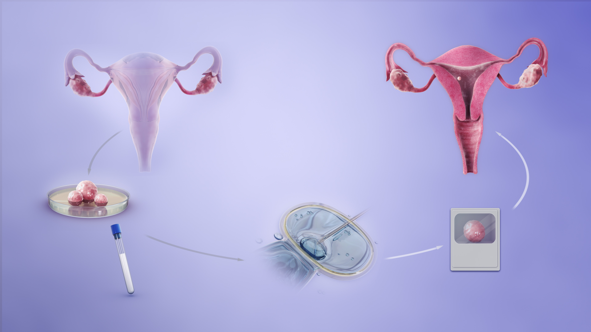 What Happens After a Positive IVF Test?