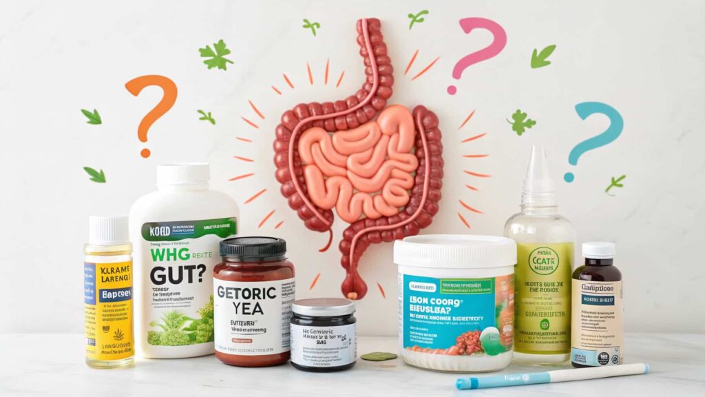 What Is Bodi Gut Health Snark