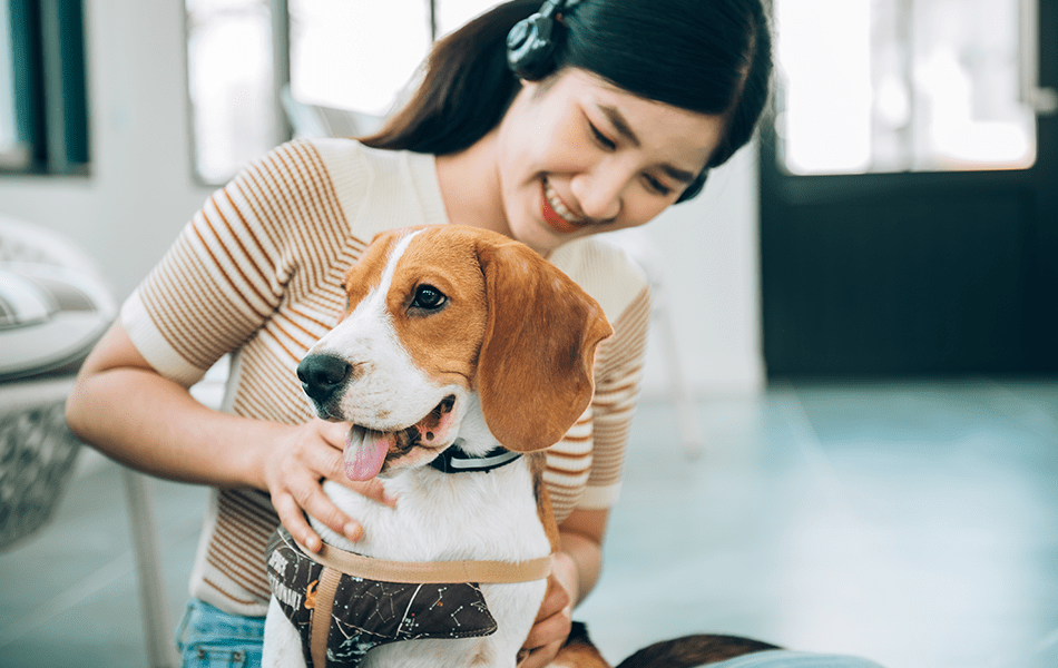 Pet Care Keeping Your Furry Friend Happy and Healthy