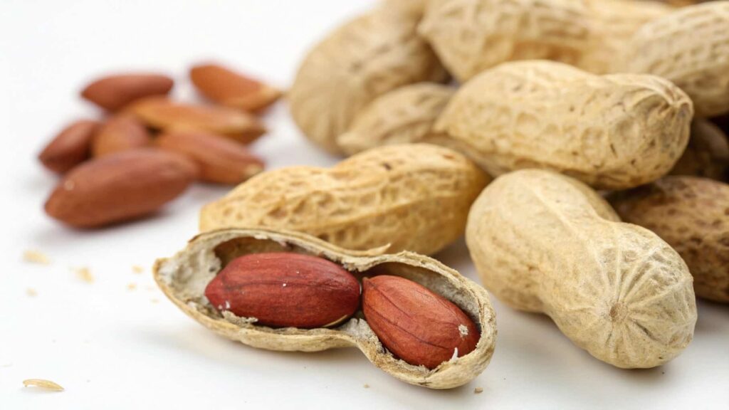 What Are Groundnuts (Peanuts)