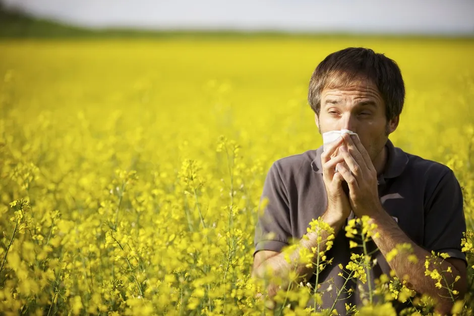 Tips on Managing Seasonal Allergies