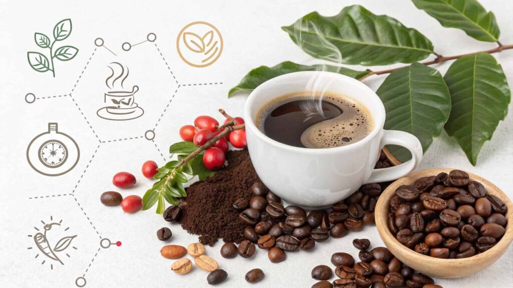 What Makes Coffee More Than Just a Stimulant
